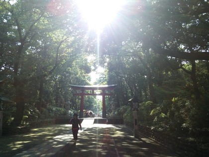 大宮八幡宮