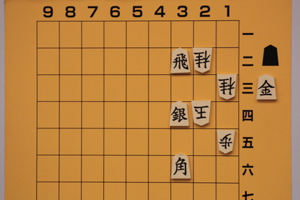 将棋の駒