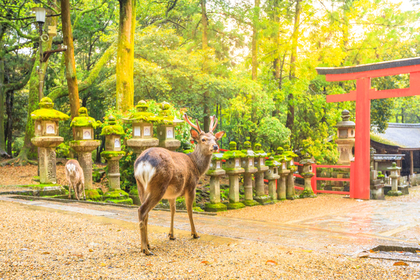 神社